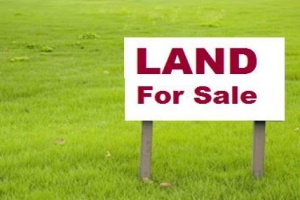 尼日利亞嘅地產律師. Land registration in Nigeria.Types of land documents in Nigeria. Land instrument registration law Procedure for registration of land in Nigeria Land registry. Land registration process in Nigeria. Regulatory compliance and due diligence lawyers in Nigeria Real estate lawyers in Nigeria.