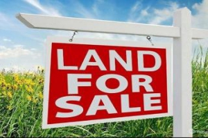 Before buying land, here are a few tips on how to safeguard your interest as a buyer before letting go your money in a land transaction. “Land”, “building”, “real estate”, “real property” and “property” are used interchangeably in this article.
